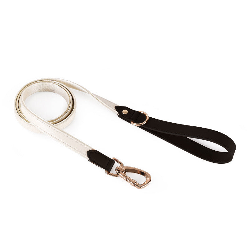 leather dog leash