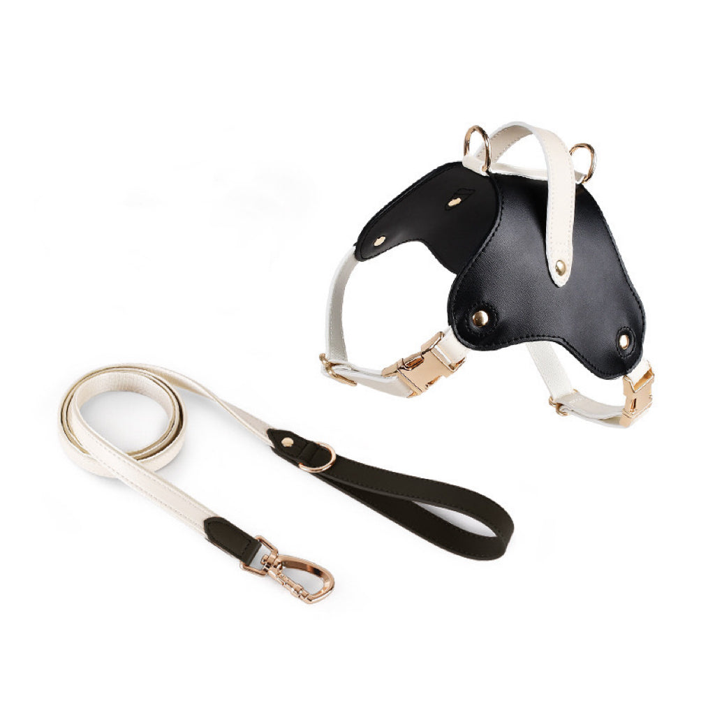 harness and leash set for medium dogs