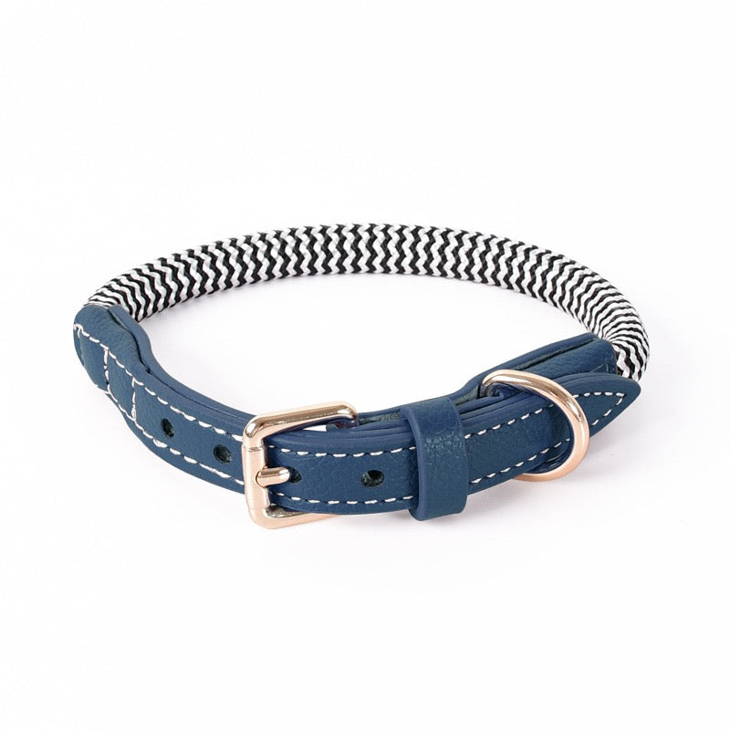 Best large dog shock collar best sale