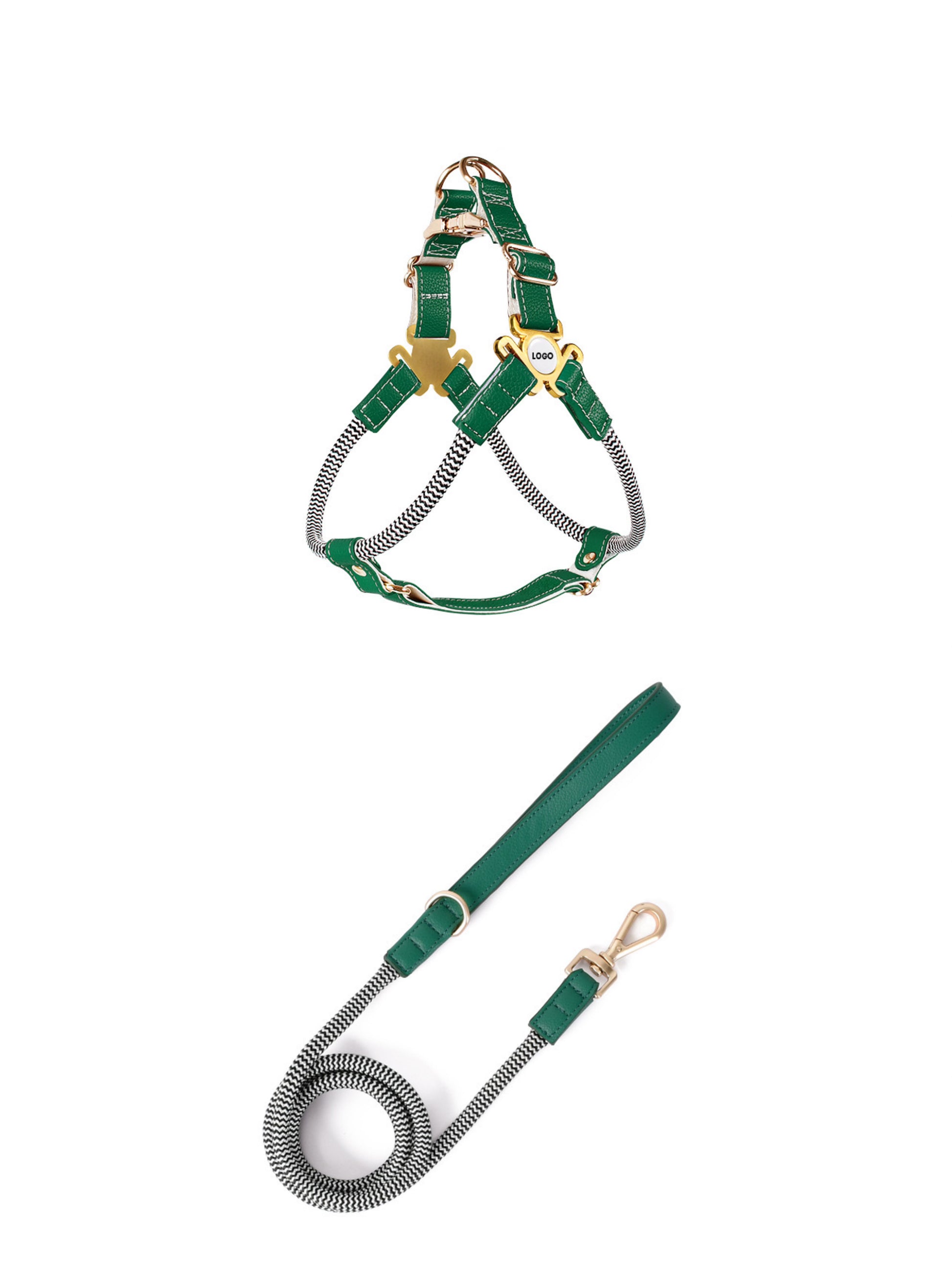 matching dog harness and leash