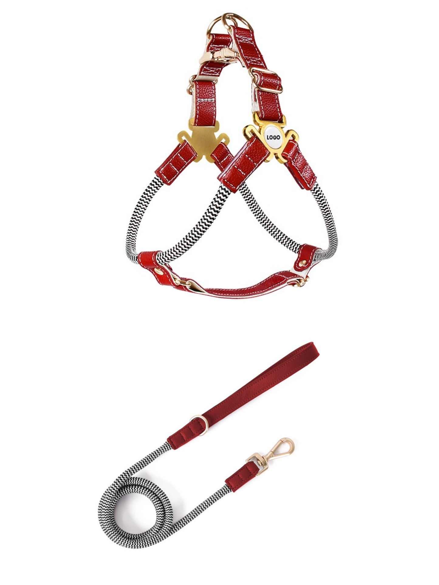 dog harness with leash