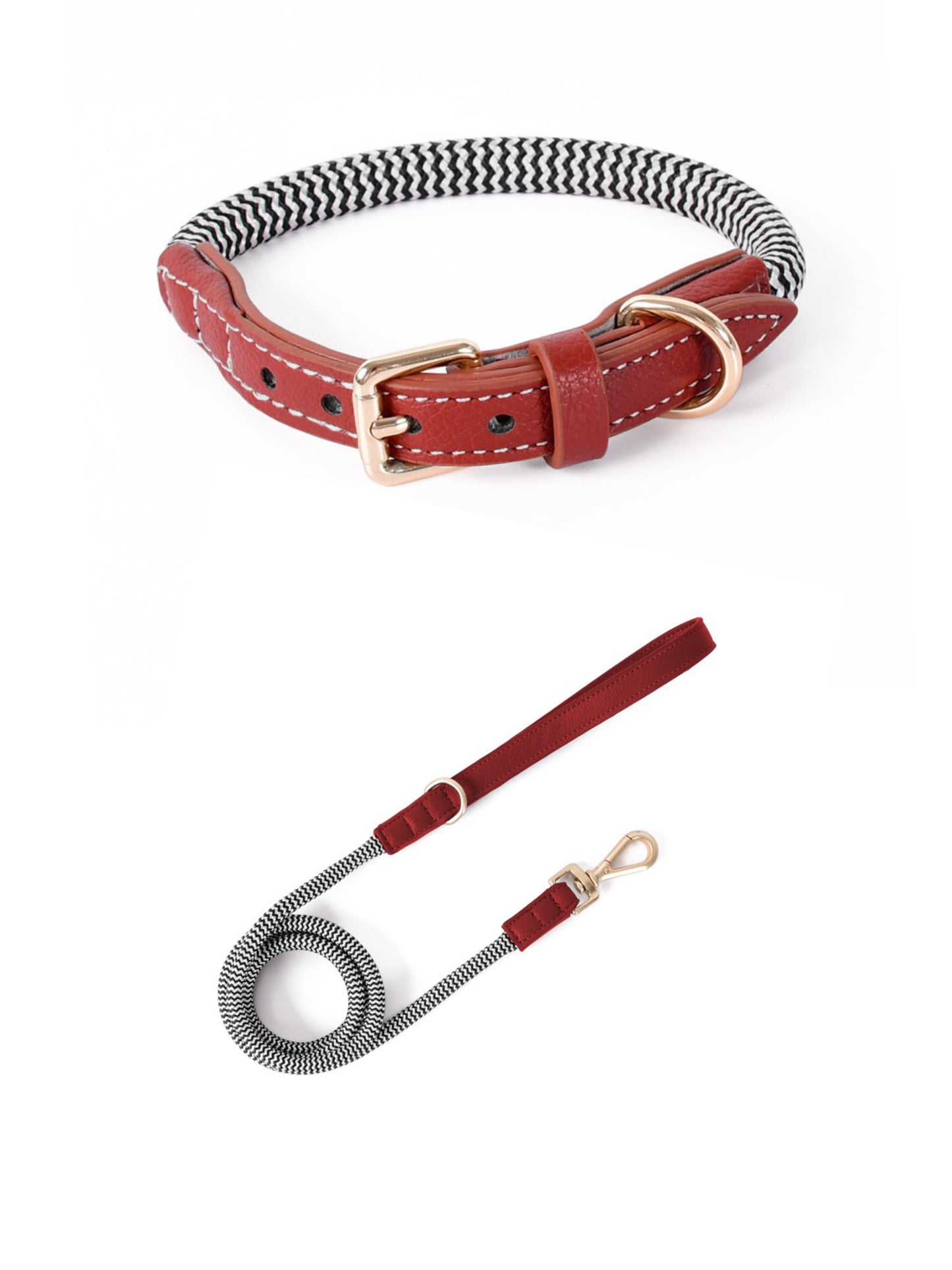 matching dog collar and leash