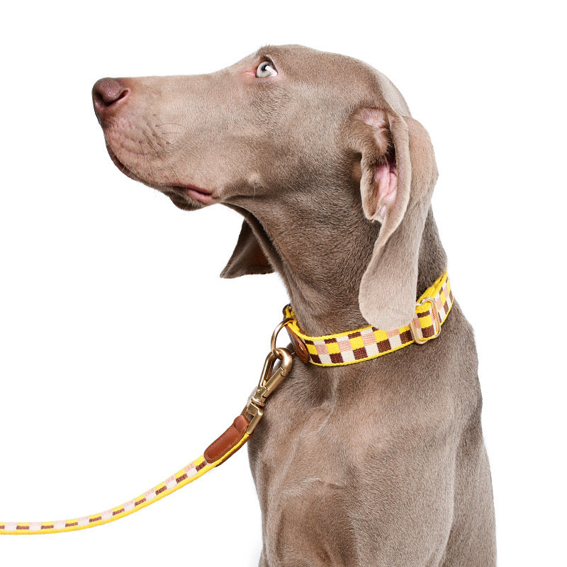 Collier de dressage et de suivi en nylon à carreaux pour chien