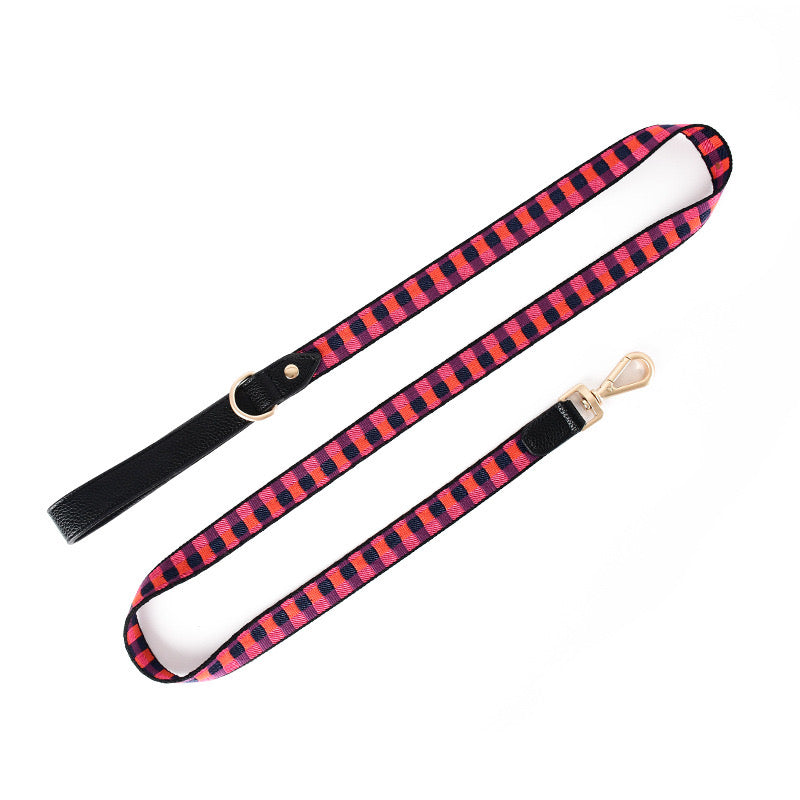 safe buckle dog leash