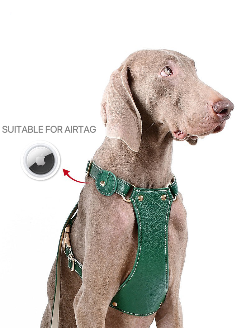 dog harness with airtag holder