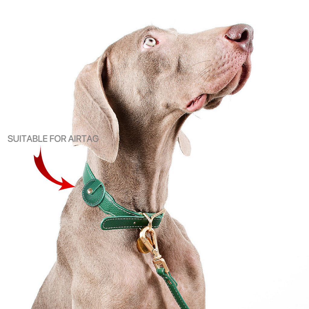 airtag dog collar