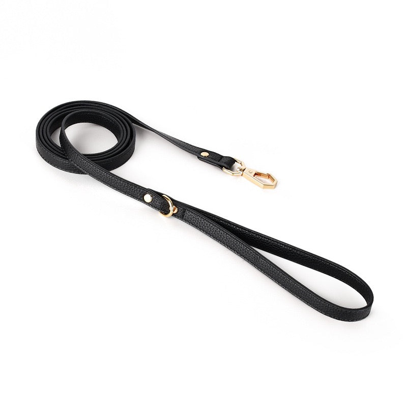 multi function dog leash