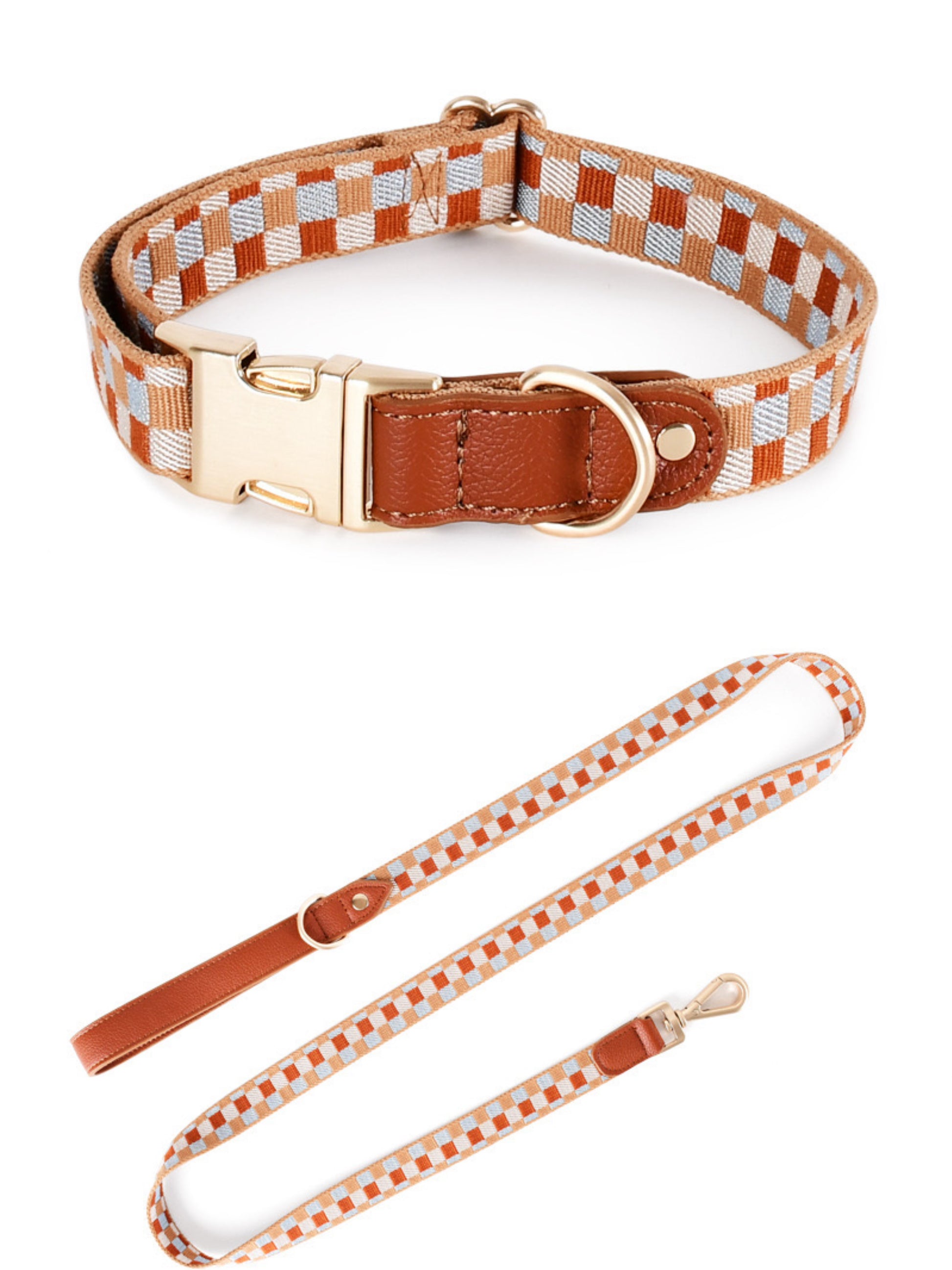 big dog collars and leashes