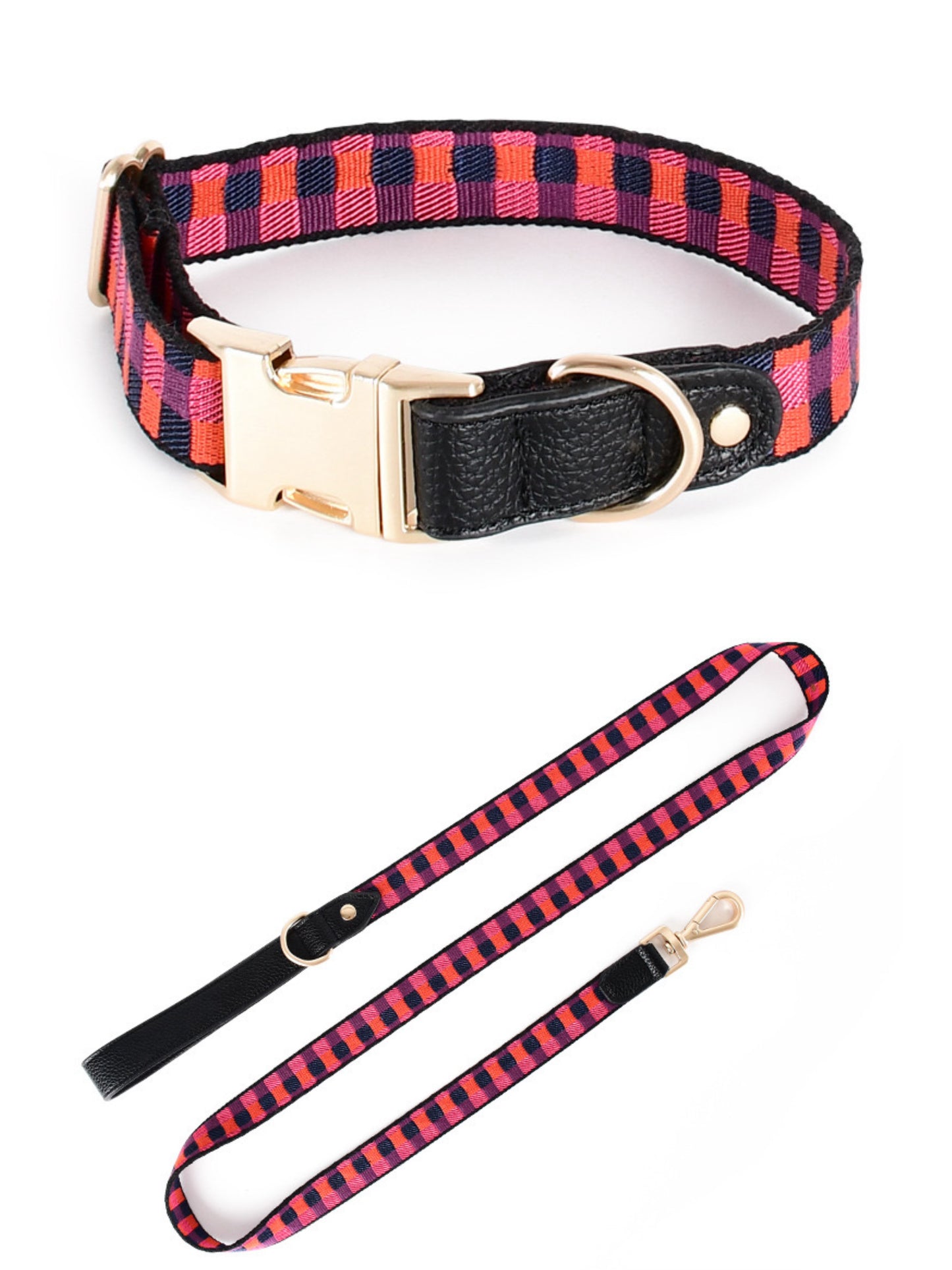 dogs collars and leashes