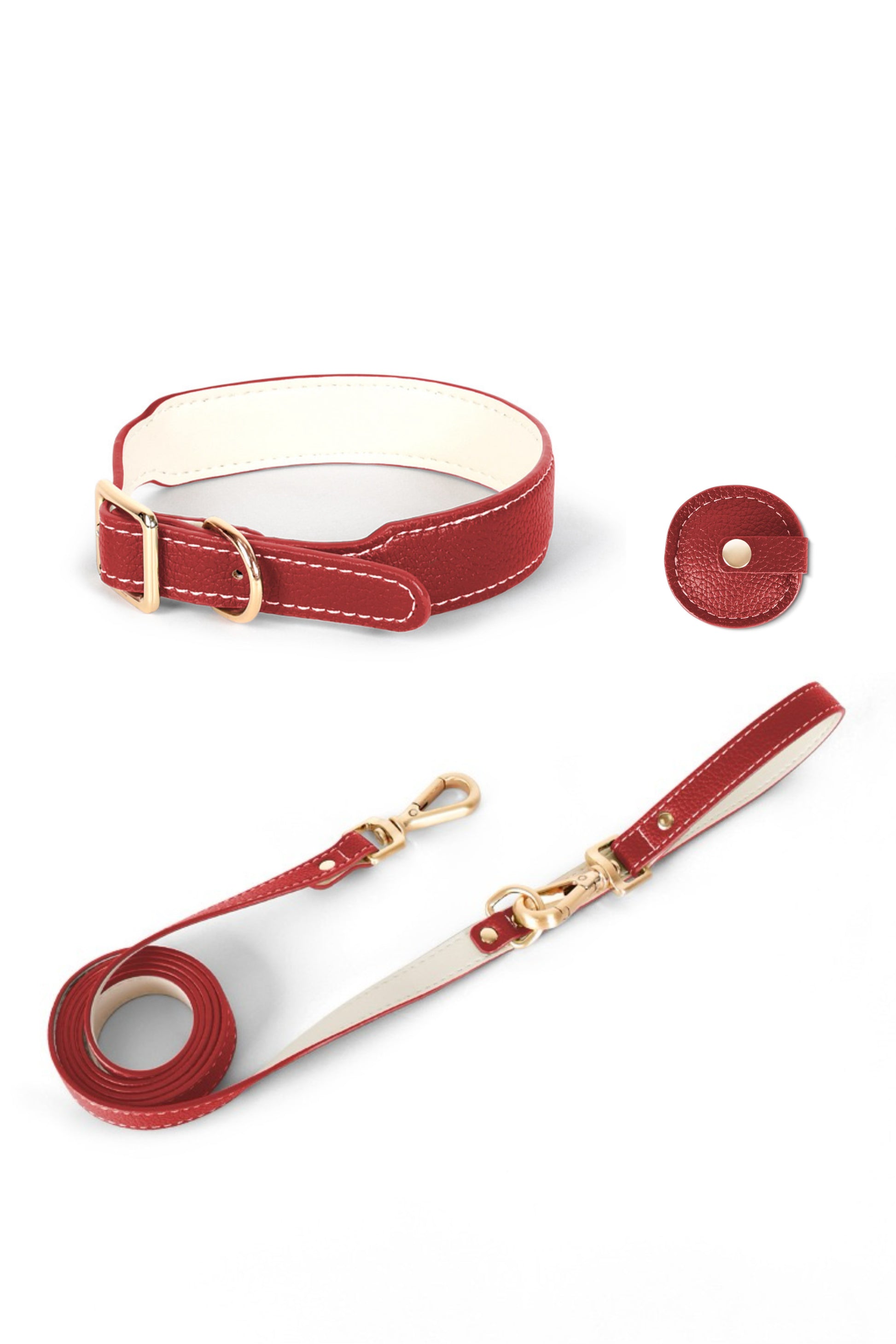 dog leash and collar set