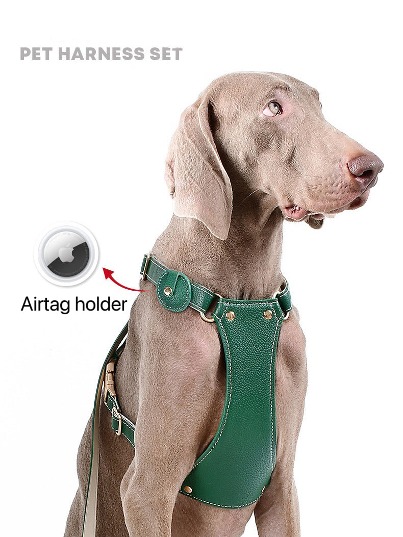 Harness Leash Set for Dogs with Airtag Holder