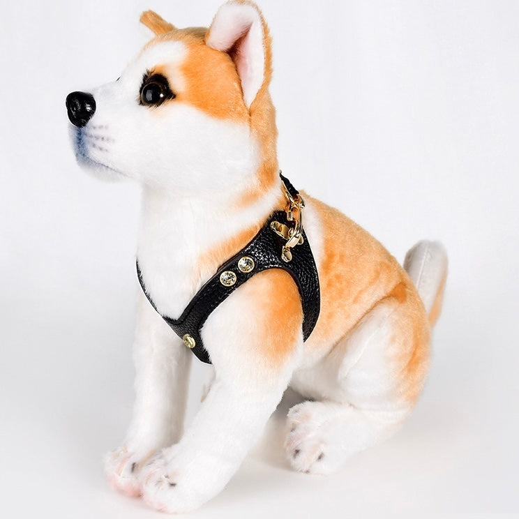 small dog harness and leash set