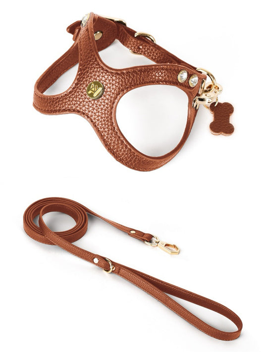 dog harness with leash