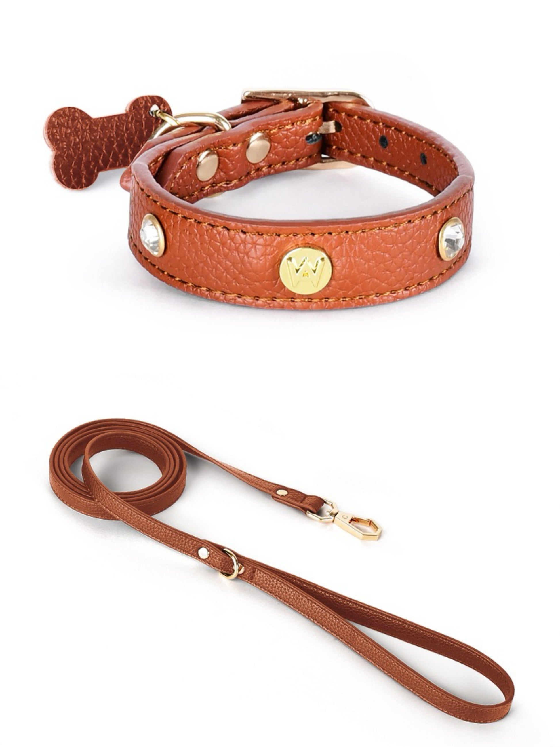 dog leash collar