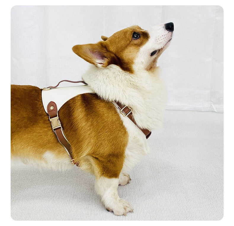 dog harness set