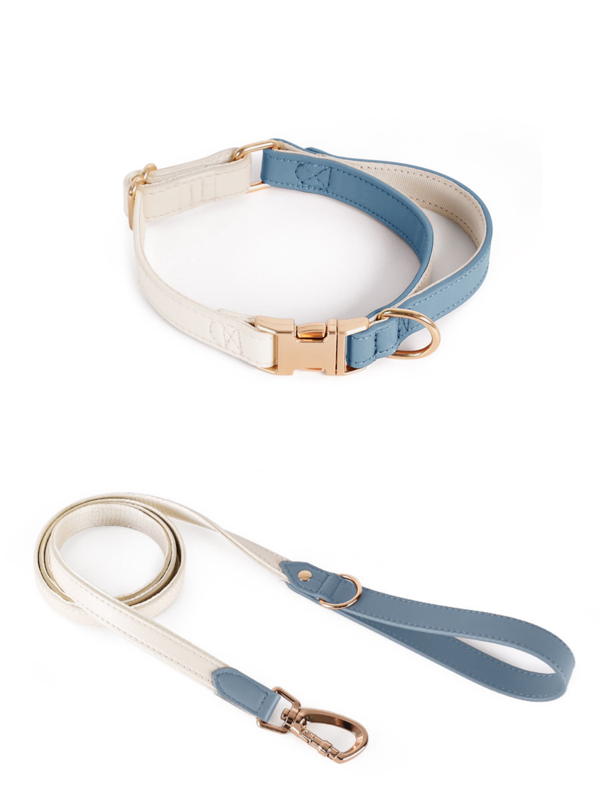 dog collar and leash leather