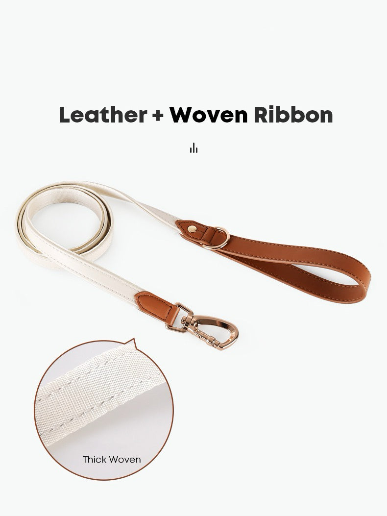 leather dog collar kit