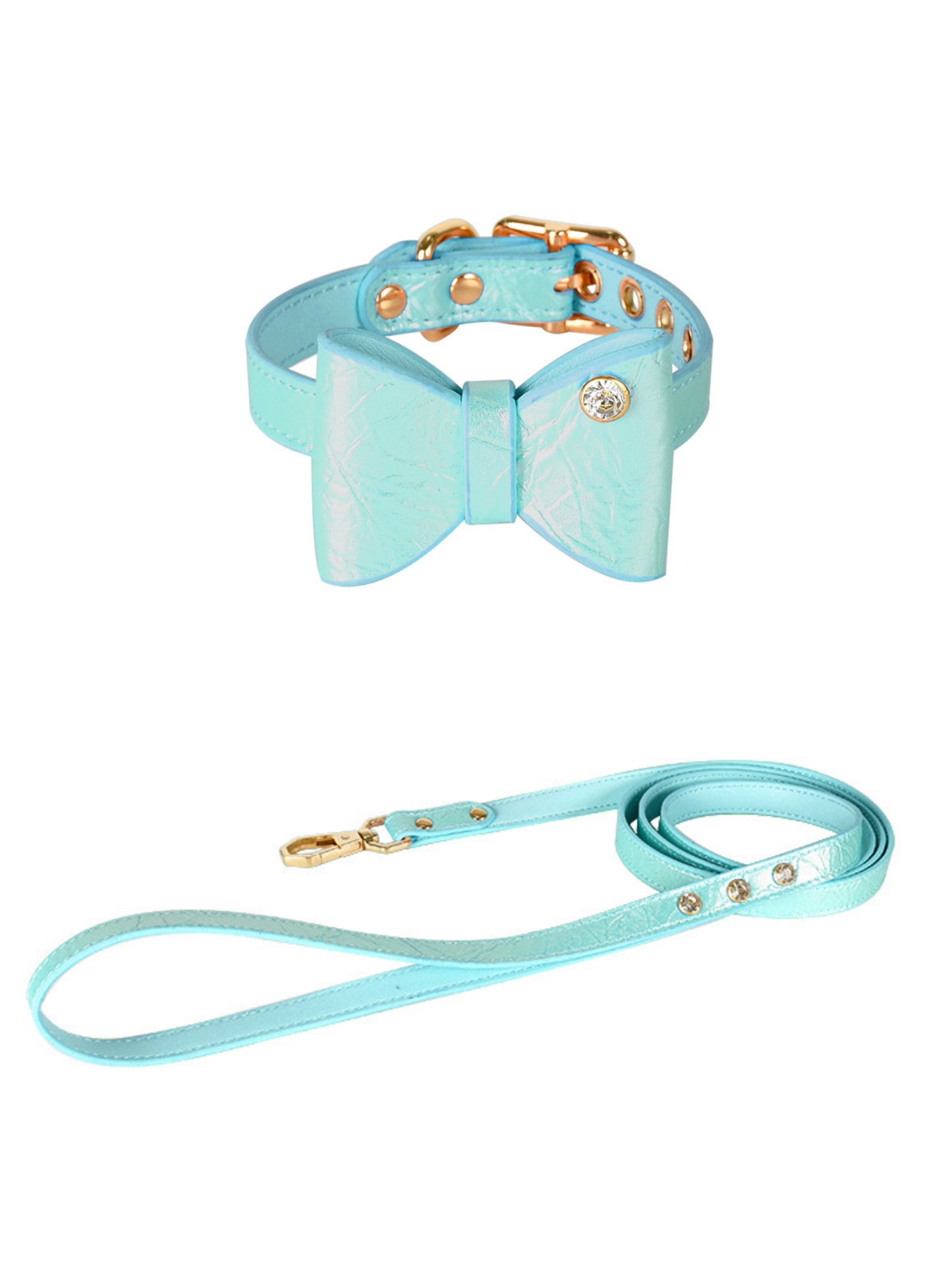 diamond dog collar and leash