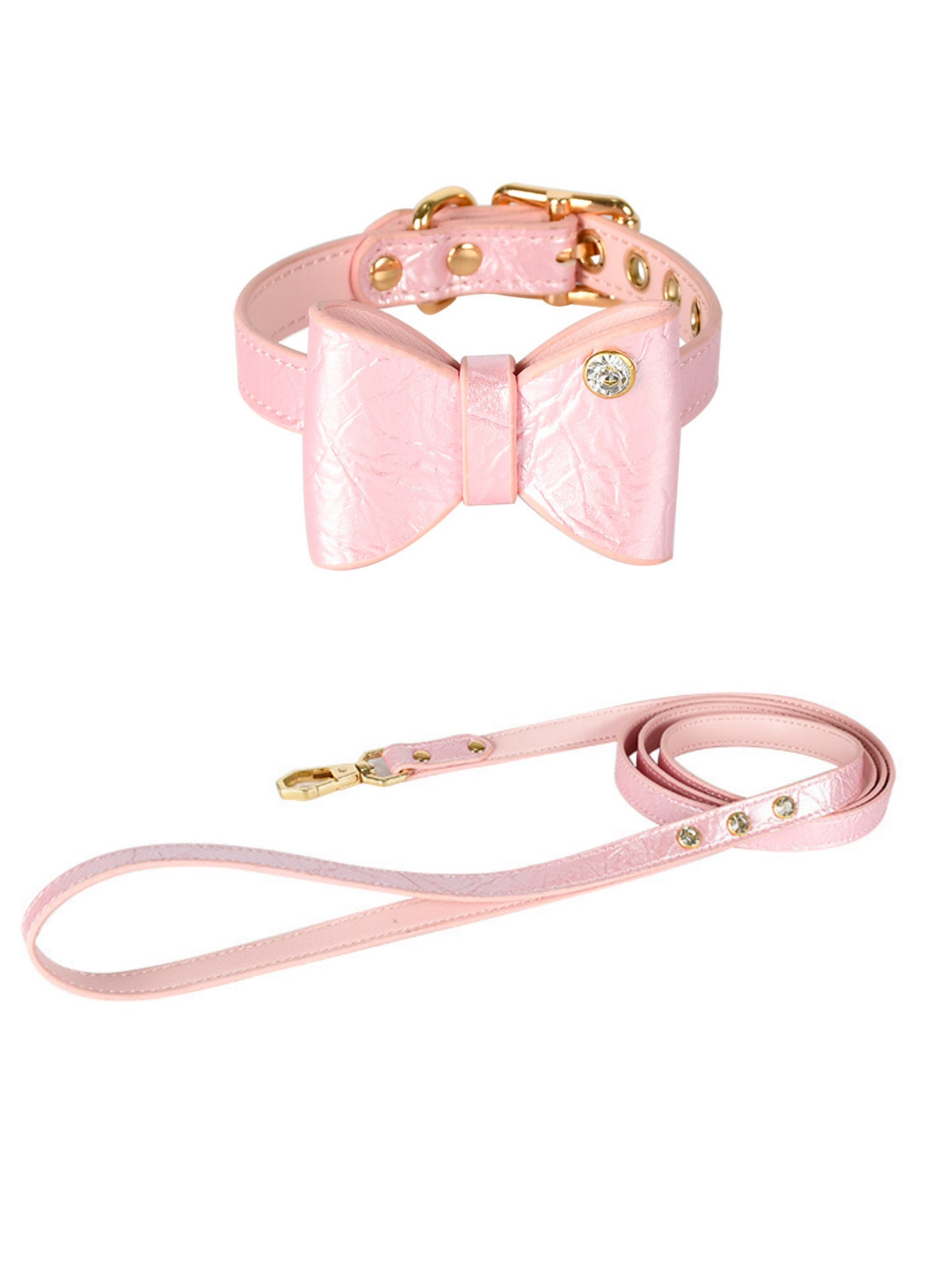 cute dog collars and leashes