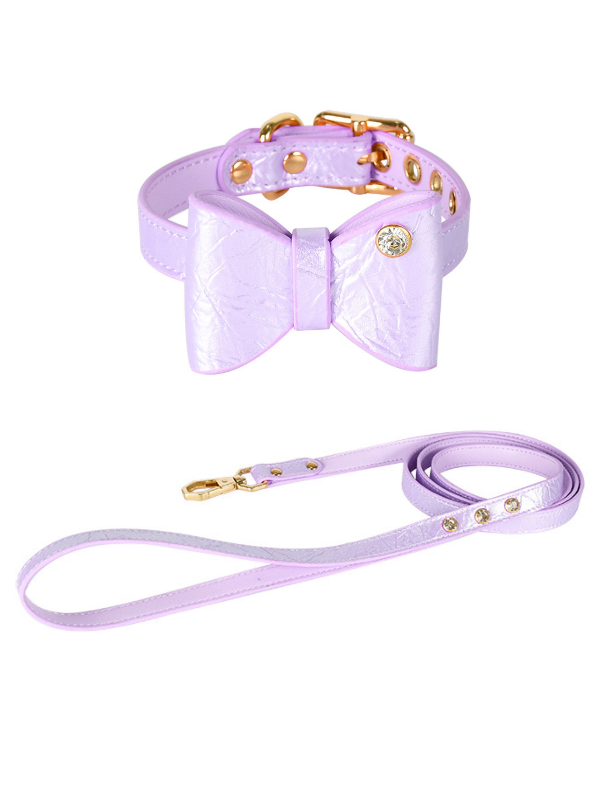 pink dog collar and leash