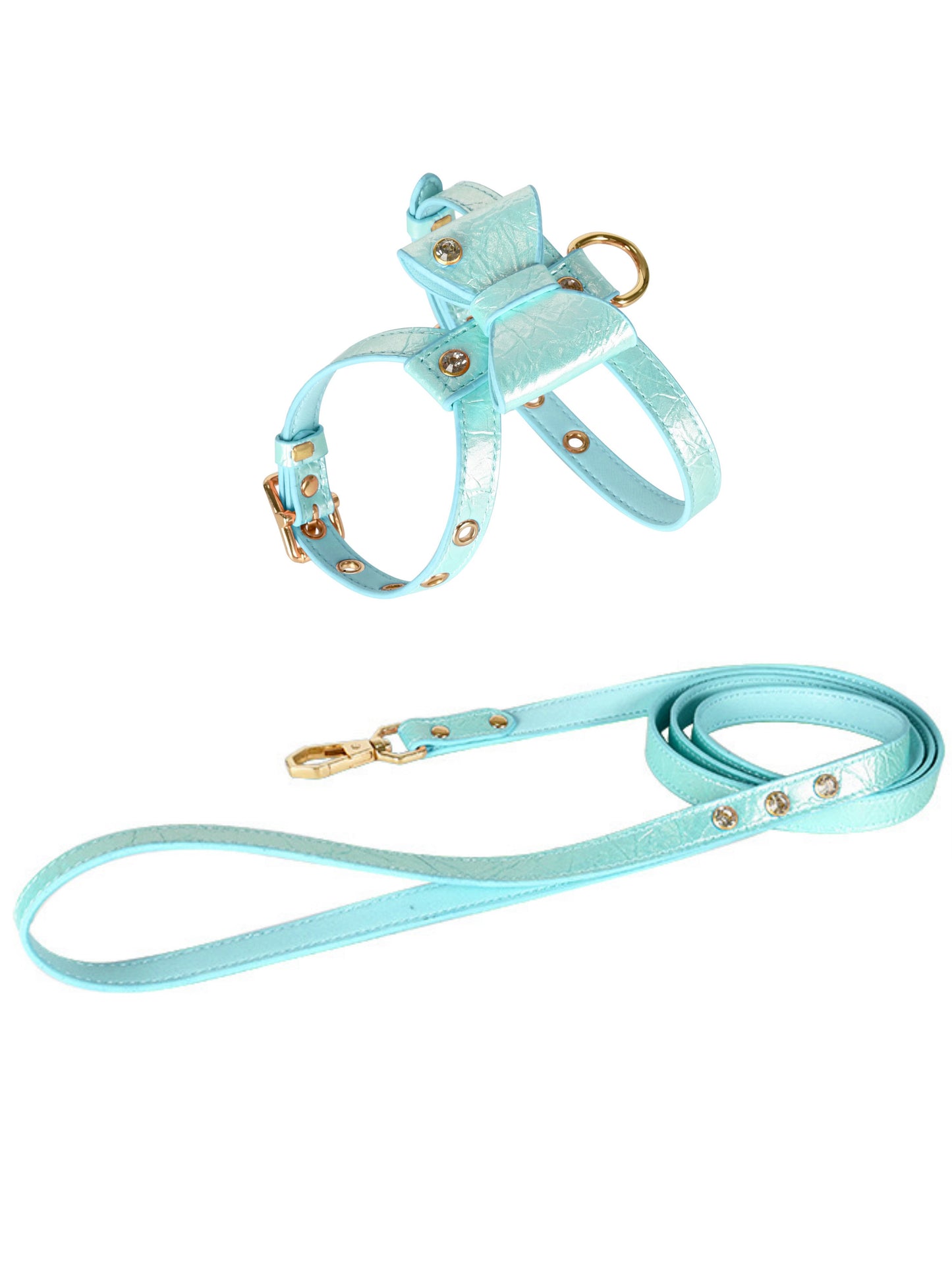 small dog harness and leash set