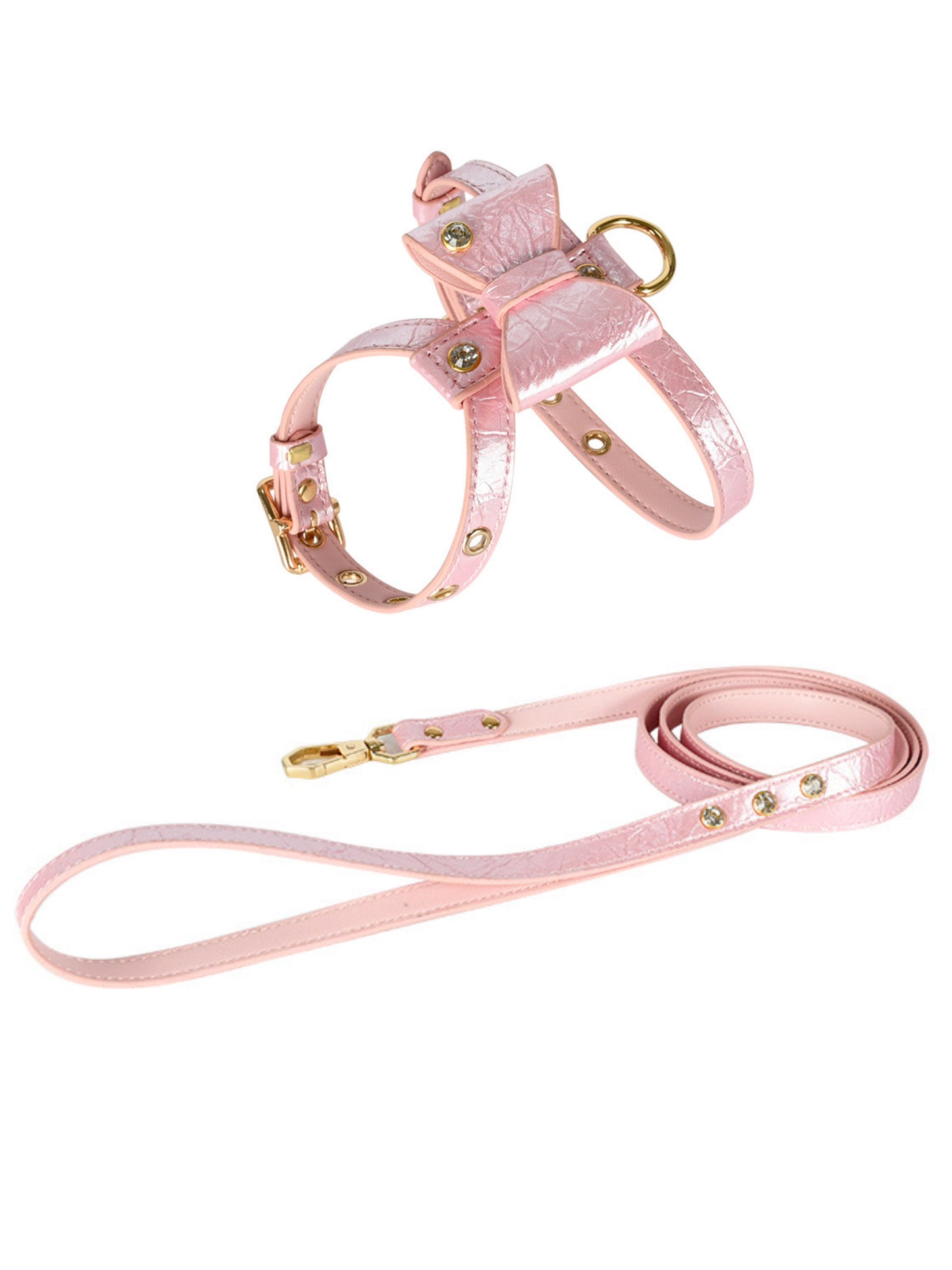 pink dog harness and leash