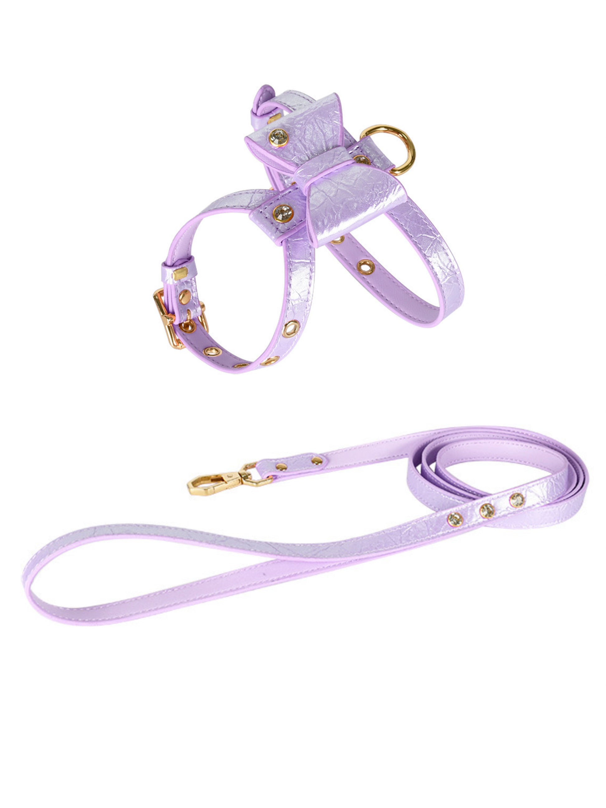 cute dog harness and leash