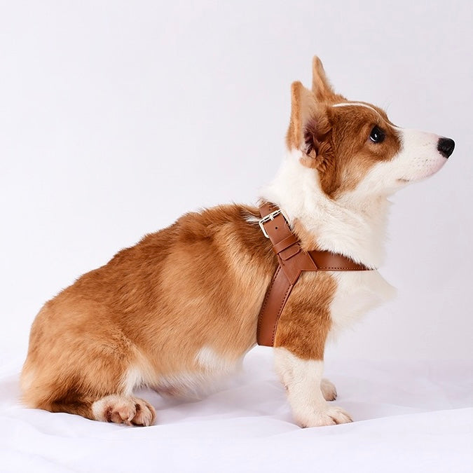 Adjustable Soft Leather Training Harness For Dogs