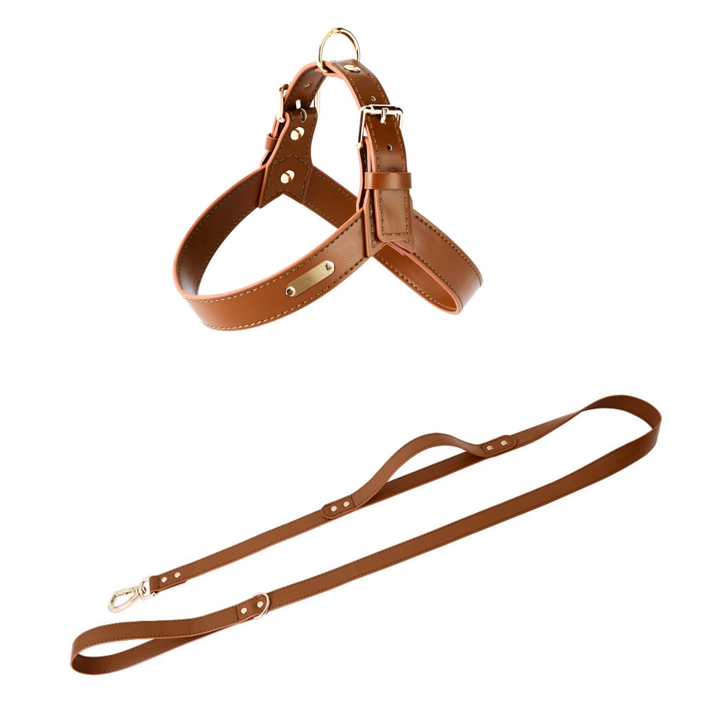 dog leash and harness